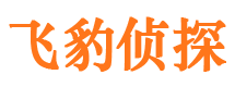 曹县调查事务所